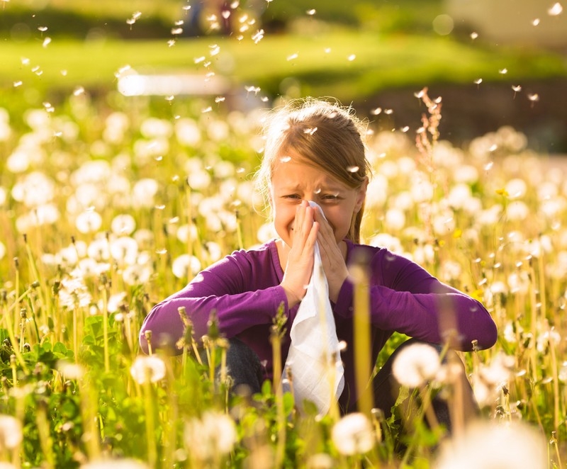 Emelkedik a pázsitfűfélék és a kora nyári gyomok pollenkoncentrációja