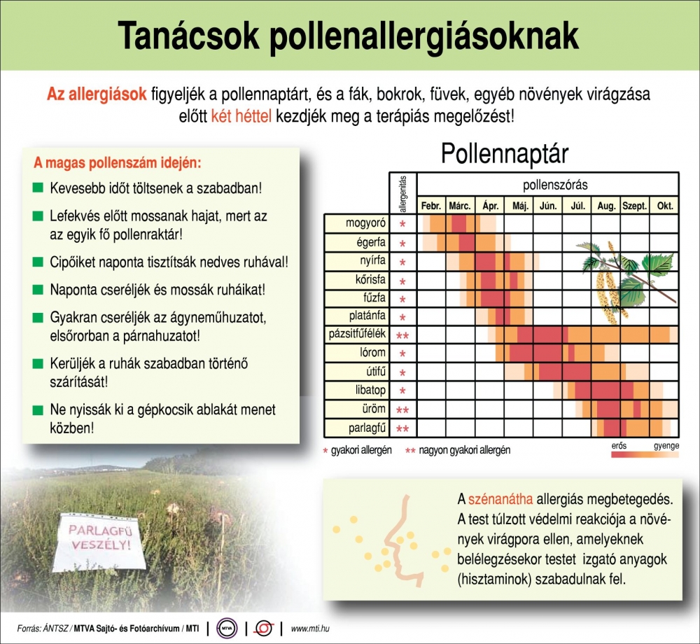 Tanácsok pollenallergiásoknak