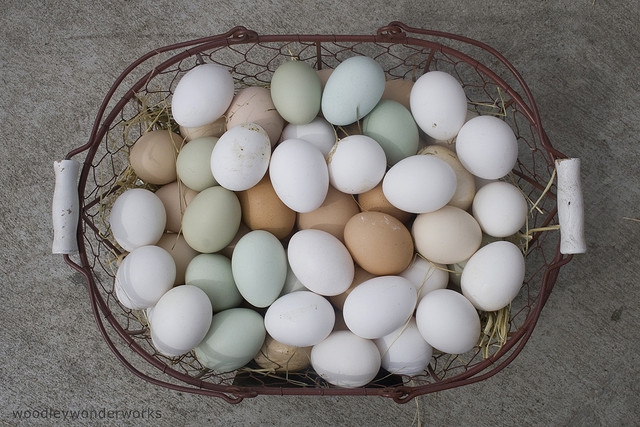 Hogyan hat a cukorbetegek szervezetére a tojás? Nem mindegy, hogy készítik el - Egészség | Femina