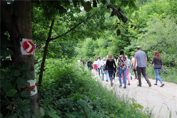 Szívbetegek rehabilitációját segítő tanösvényt avattak Miskolcon