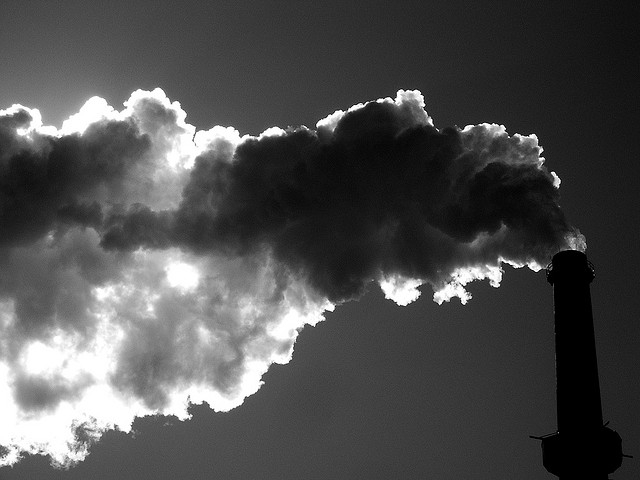 A légszennyező anyagok növelhetik a levegőben terjedő allergének 