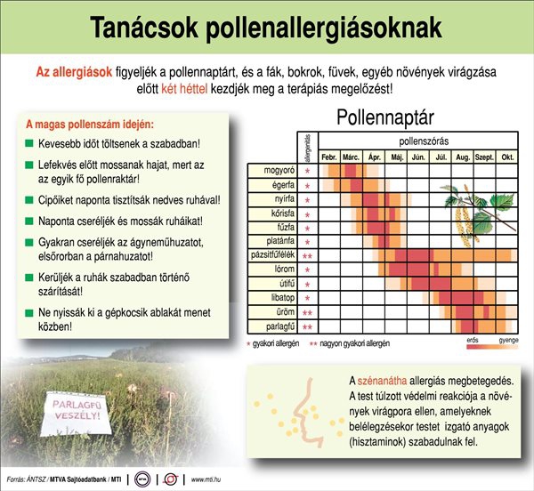 Tanácsok pollenallergiásoknak