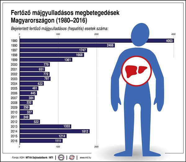 Fertőző májgyulladásos megbetegedések Magyarországon (1980-2016)