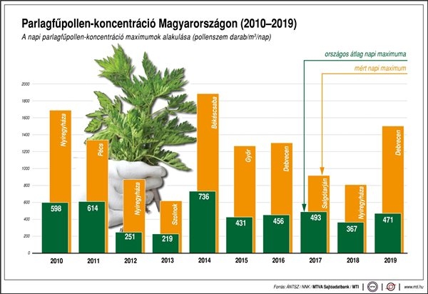 Parlagfűpollen-koncentráció Magyarországon (2010-2019