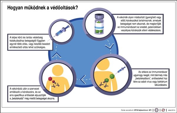 Hogyan működnek a védőoltások?