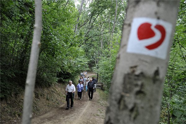 Szívbetegek rehabilitációját segítő tanösvényt avattak a budapesti Szent Ferenc Kórház mellett