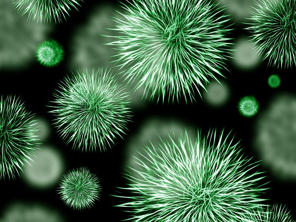 A hepatitisz C elleni terápia csökkentheti a májátültetések szükségességét
