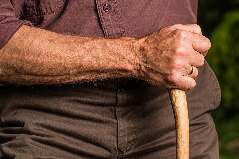 Hogyan veszi fel agyunk a harcot az öregedés ellen?