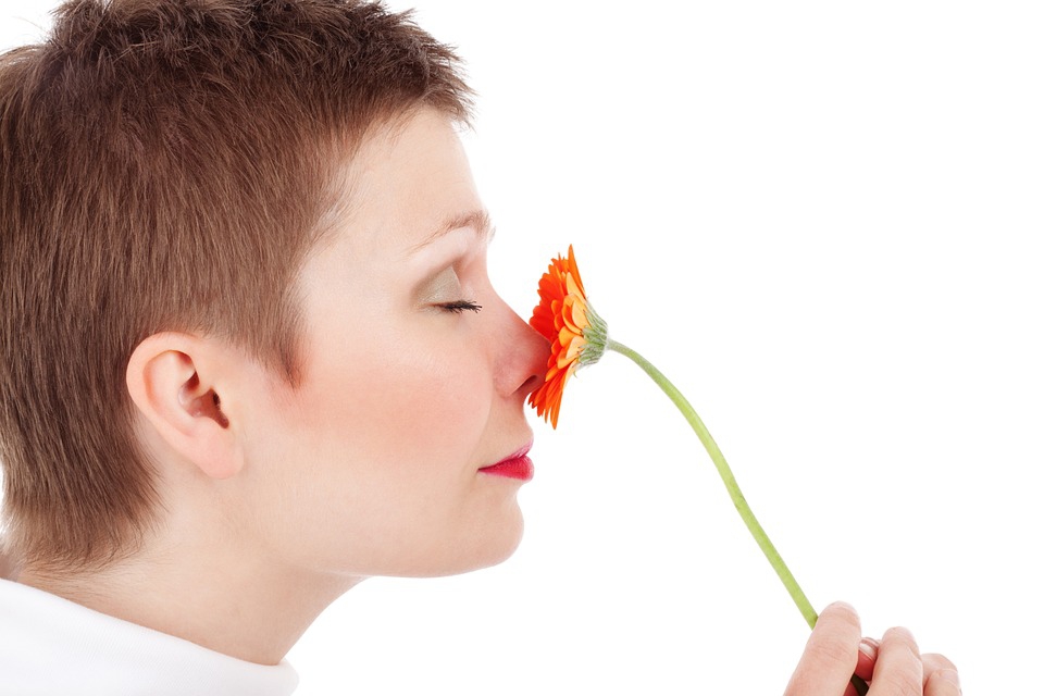 A szaglást befolyásolják a korábbi tapasztalatok és az illat ismerete