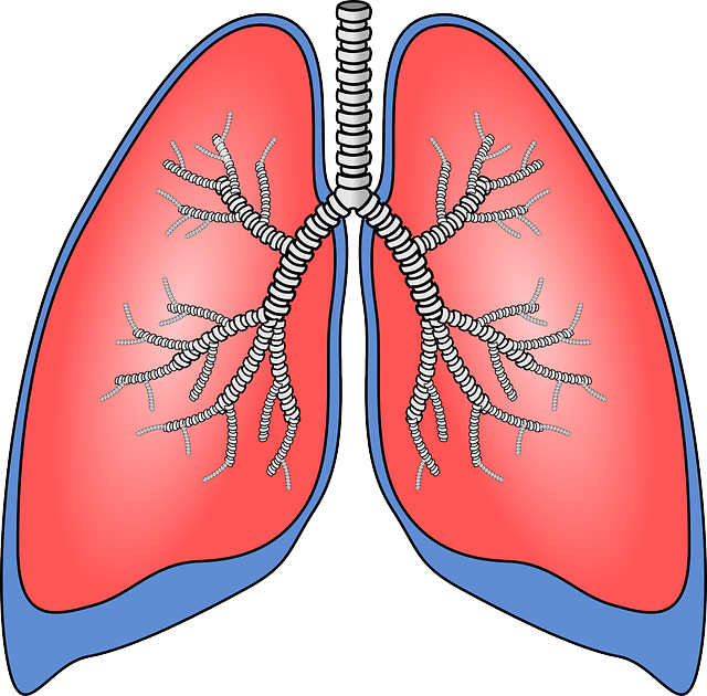 A COPD és tünetei