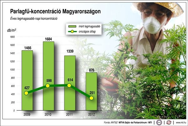 Parlagfű koncentráció Magyarországon 2009-2012