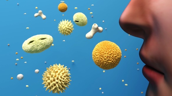 Kevesebb a pollen a levegőben